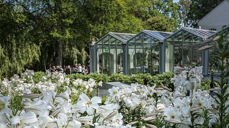 Vackra liljor i renässansträdgården på Norrviken.