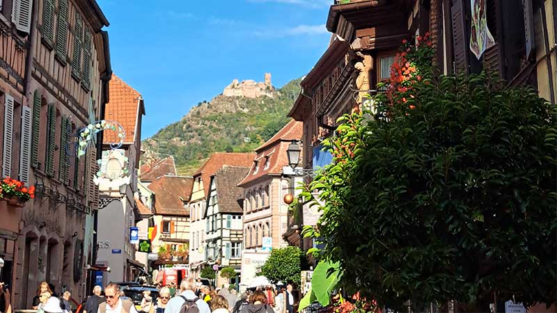 Ribeauvillé centrum på Route des Vins, vinby känd för Riesling – vinresa med Tjörnarpsbuss