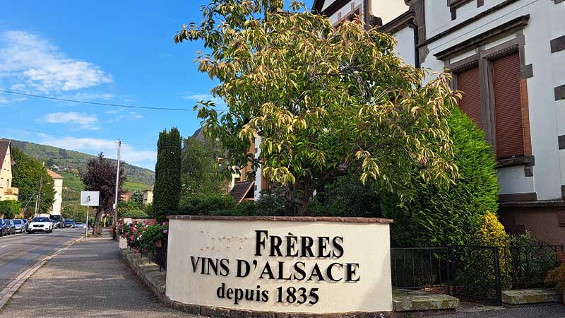 Ribeauvillé vingård Frères Vins d’Alsace – upplev Riesling och vinprovning med Tjörnarpsbuss