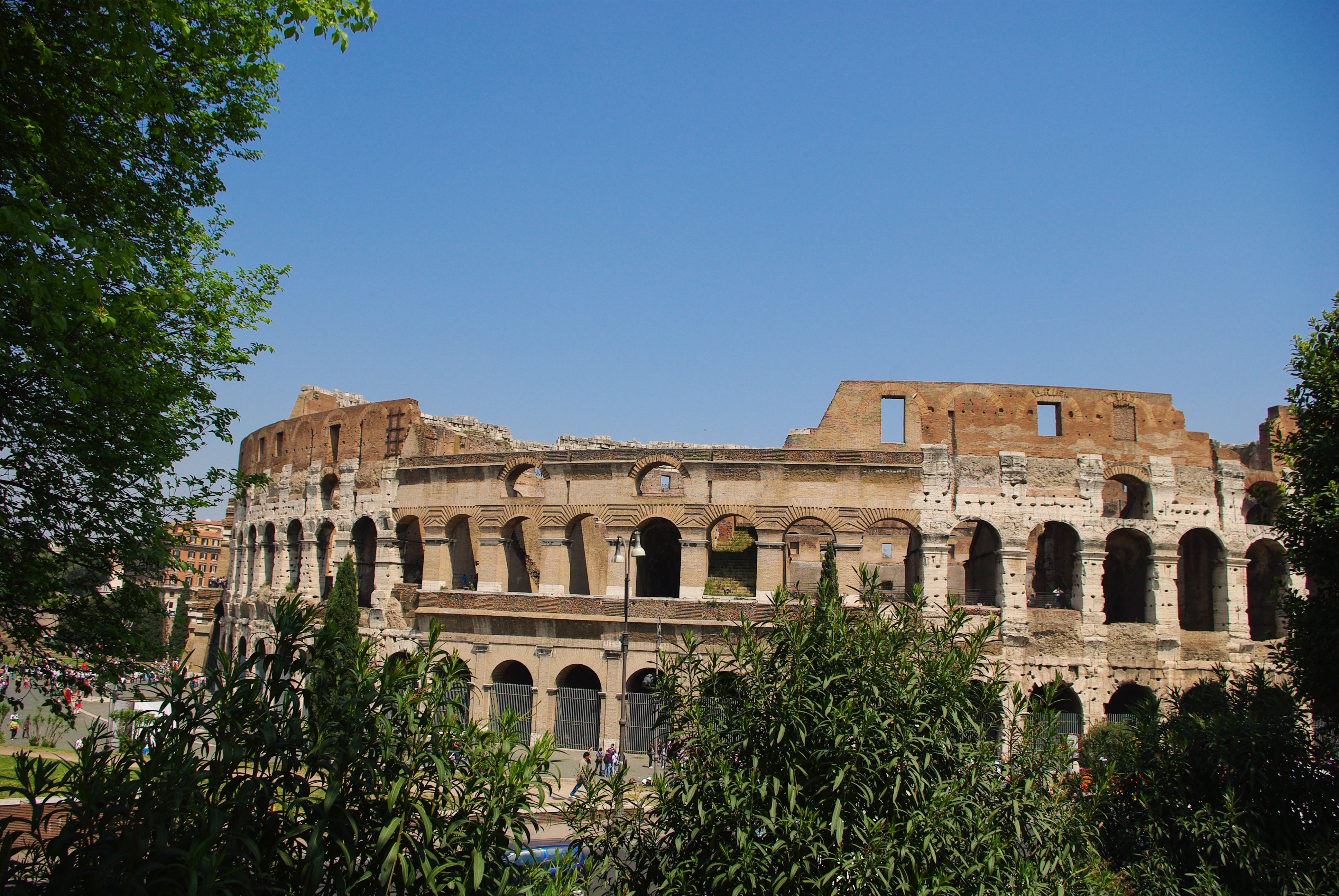 Colosseum i Rom, Italien, sett från utsidan med antika murar och grönskande träd under klarblå himmel.