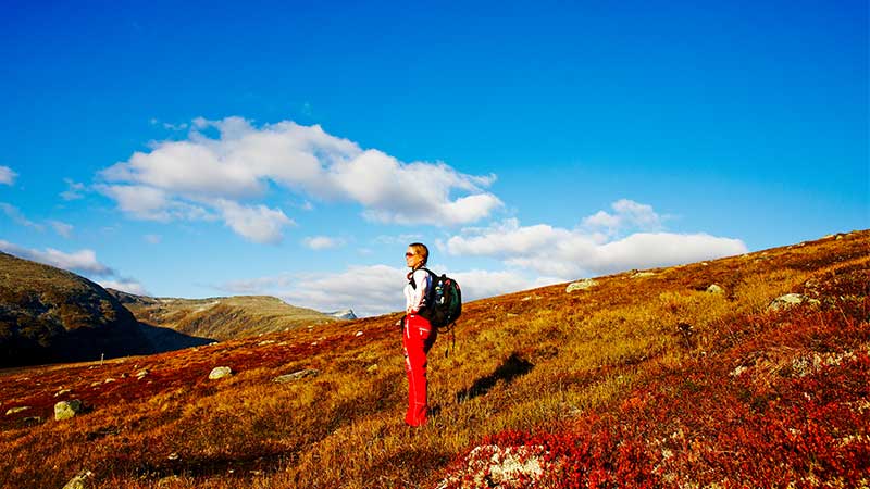 Upplev Fjället brinner – färgsprakande natur och bussresa med Tjörnarpsbuss i Norge