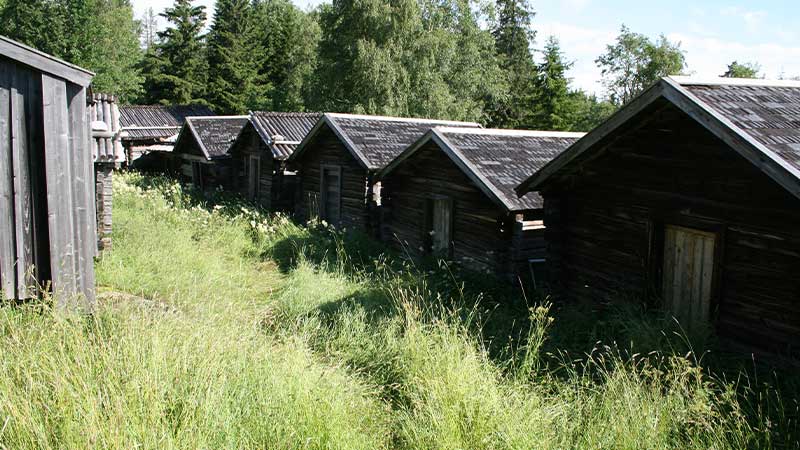 Fäbodar i sommarskrud – Tjörnarpsbuss på väg genom svensk landsbygd och fjällvärld