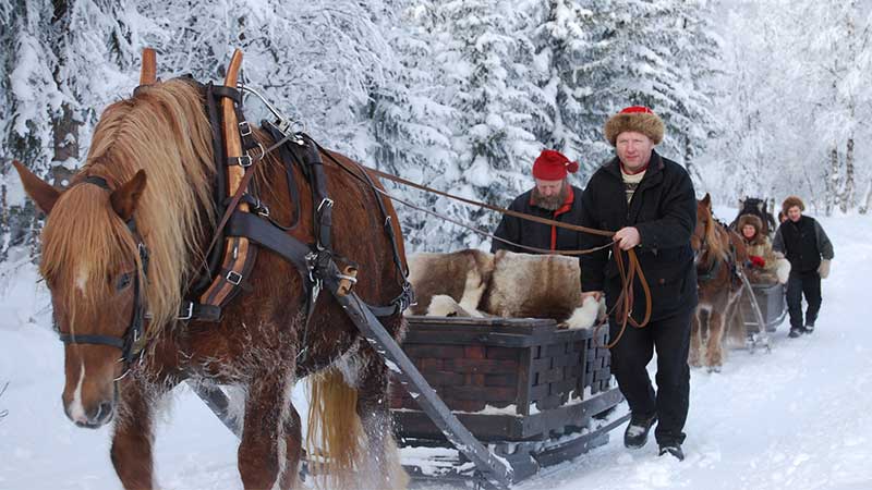 Forbnder med hst och vagn p vg till den traditionella vintermarknaden i Rros Norge