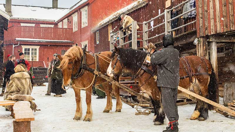 Hanverkare och bnder ikldda traditionella drkter p plats bland Rros historiska byggnader under vintermarknaden.